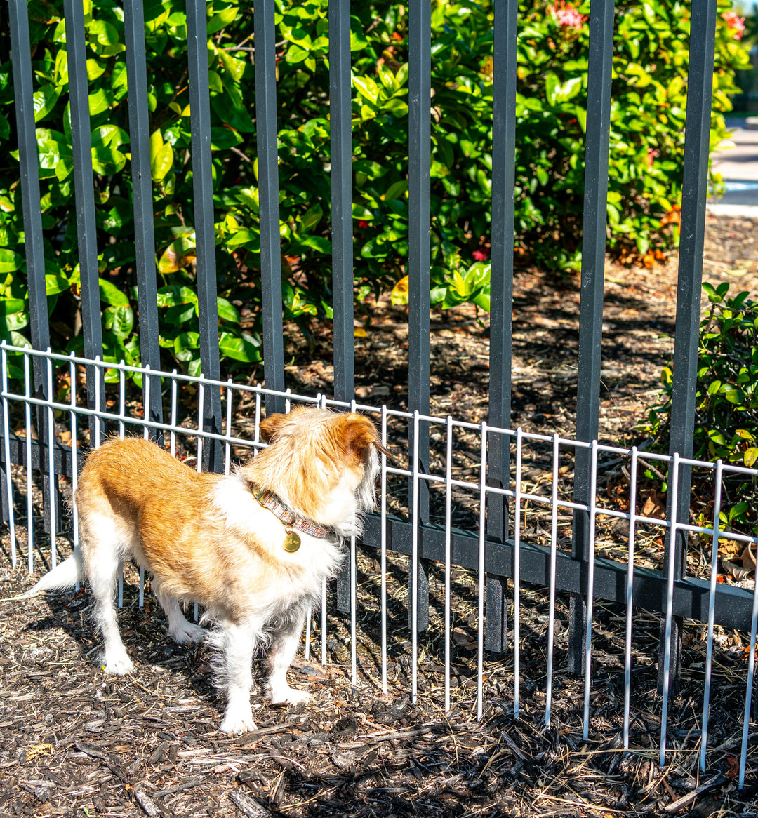 How to Install an Animal Barrier Fence: A Step-by-Step Guide