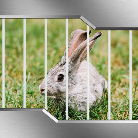 buy animal fence online